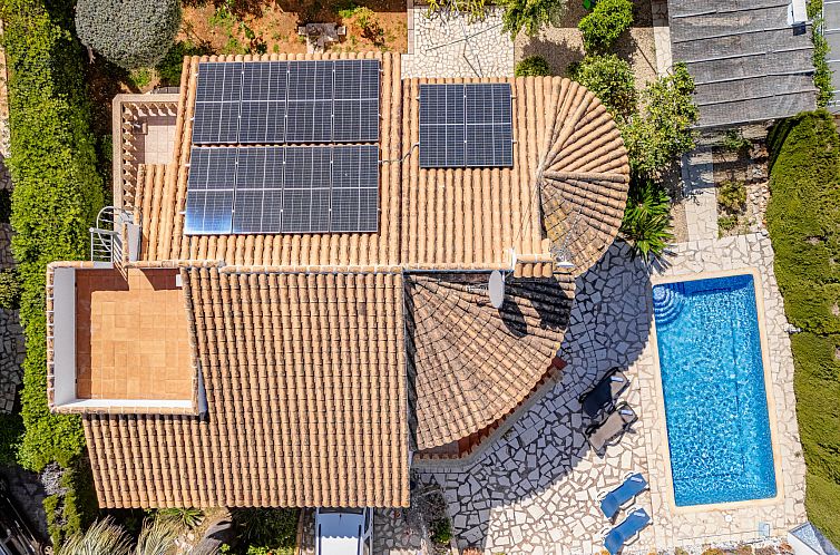 Vakantiehuis Tulipanes