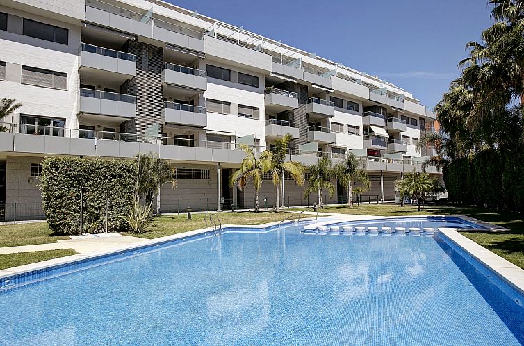 Unterkunft 14908214 - Appartement Costa blanca - Appartement Marina Raset