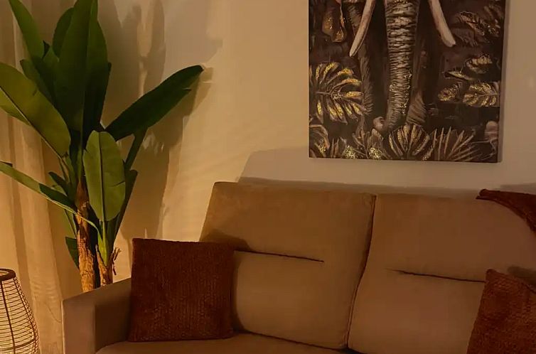 Appartement - Bajo el Elefante