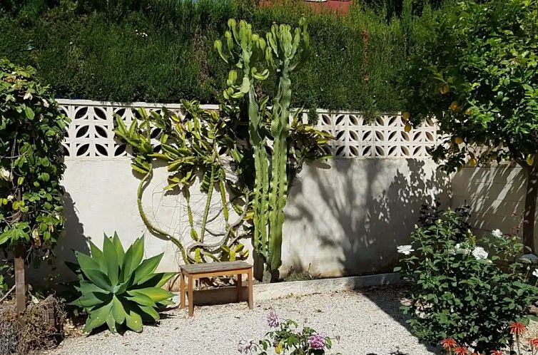 CasaBoks "Les Bovetes"