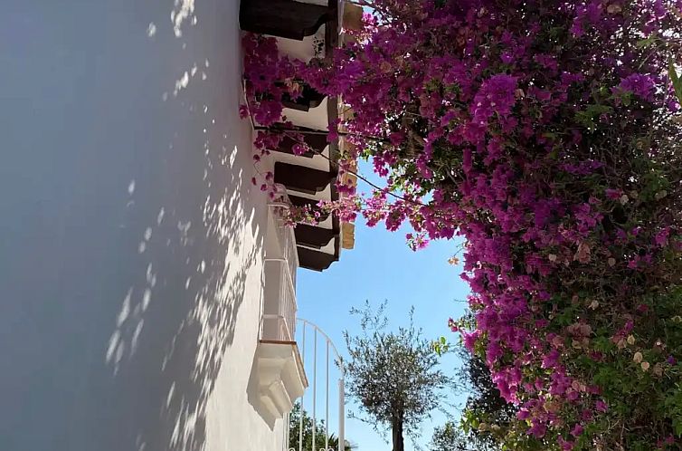 Casa de Luz