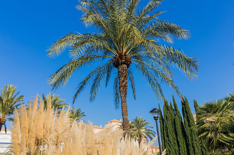 Appartement Cala Blanca Denia