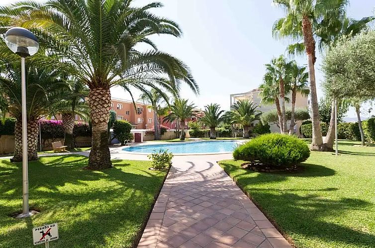 Guest house 14908527 - Apartment Costa Blanca - La Rosaleda II