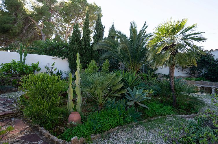 Vakantiehuis Salamanca