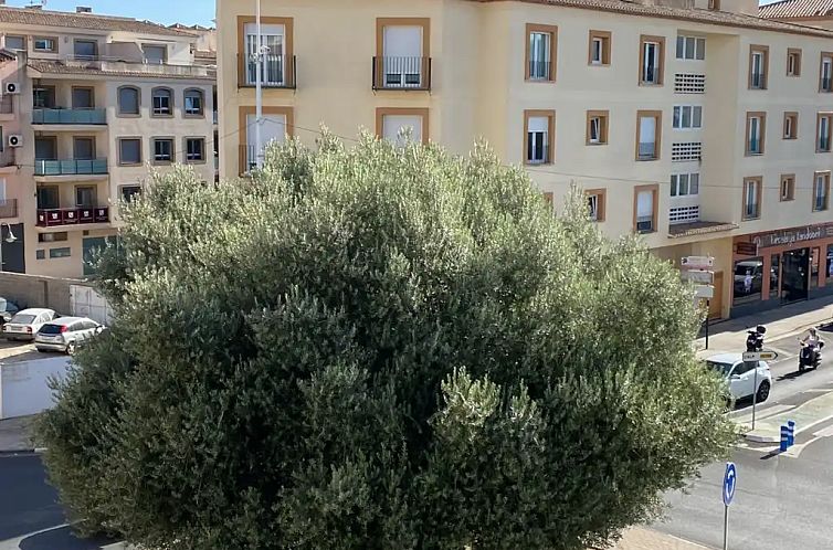 Apartamento Vista Olivo