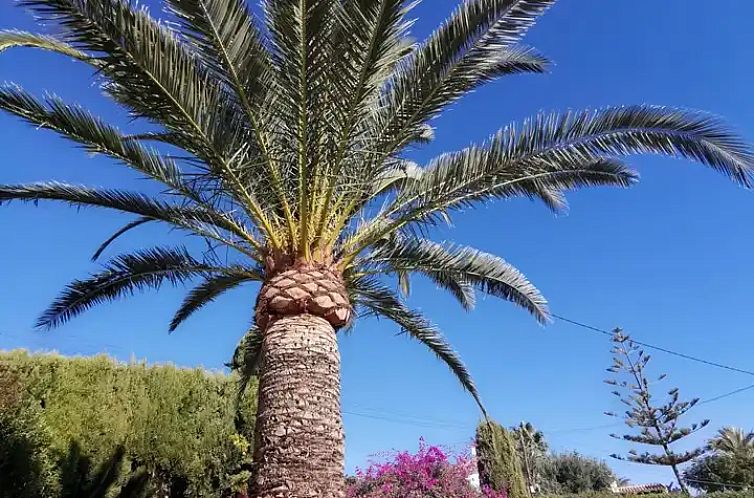 Heerlijk vakantiehuis Moraira