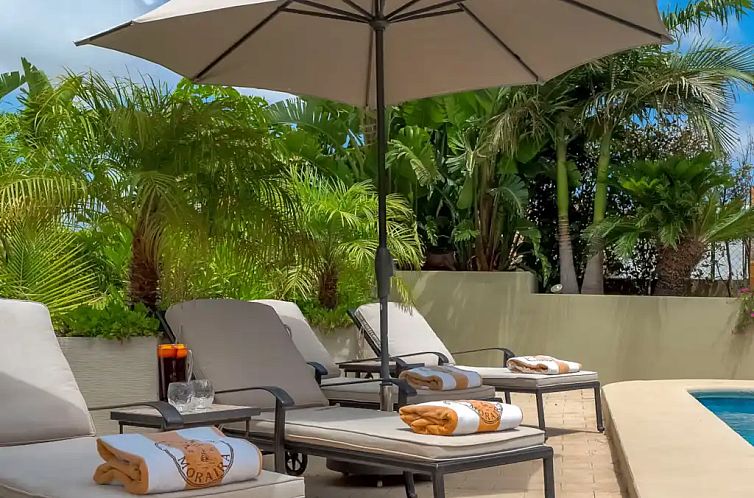 Villa Siesta Fanadix