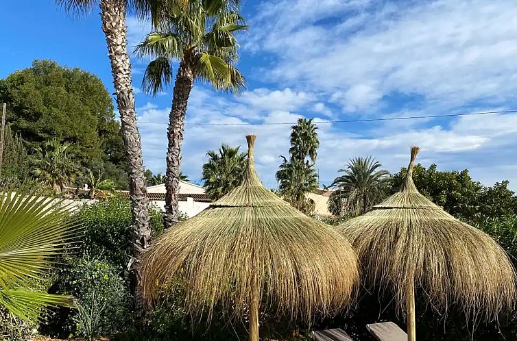 Casa Ballena Alegre