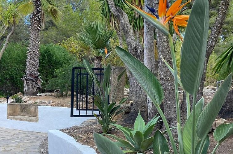 Casita Paraíso