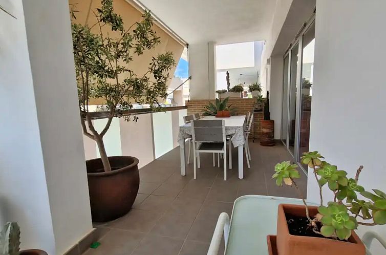 Piso Angelo