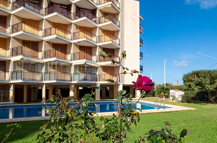 Unterkunft 14911281 - Appartement Costa blanca - Appartement Cofisa