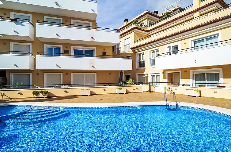 Unterkunft 14911331 - Appartement Costa blanca - Appartement Nova Soberana