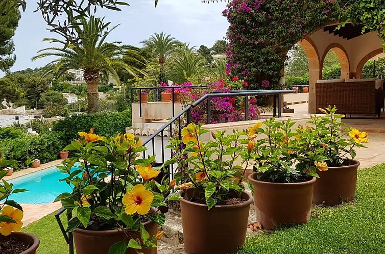 Unterkunft 14911334 - Ferienhaus Costa blanca - Villa Pomelo