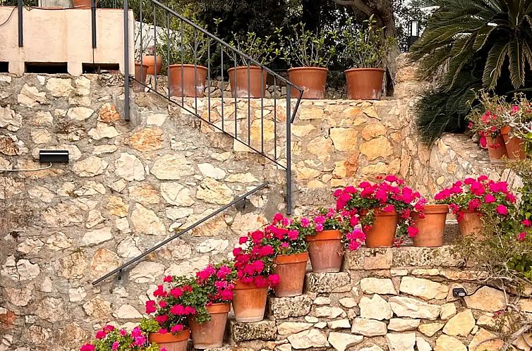 Villa Pomelo