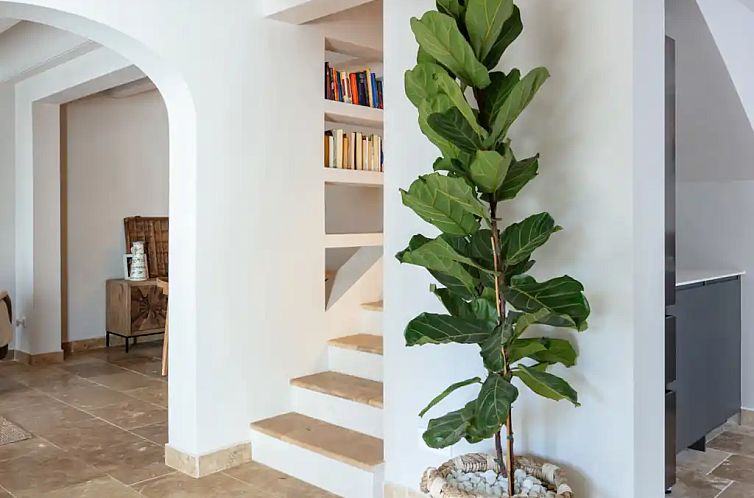 Casa Limon