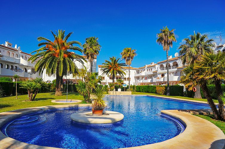 Guest house 1491198 - Apartment Costa Blanca - Appartement San Esteban