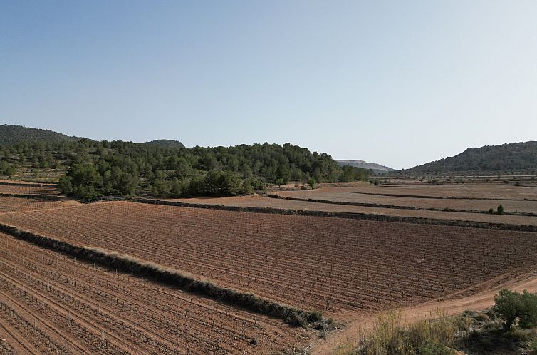 Unterkunft 149123111 - Ferienhaus Costa blanca - Kavel in Pinoso