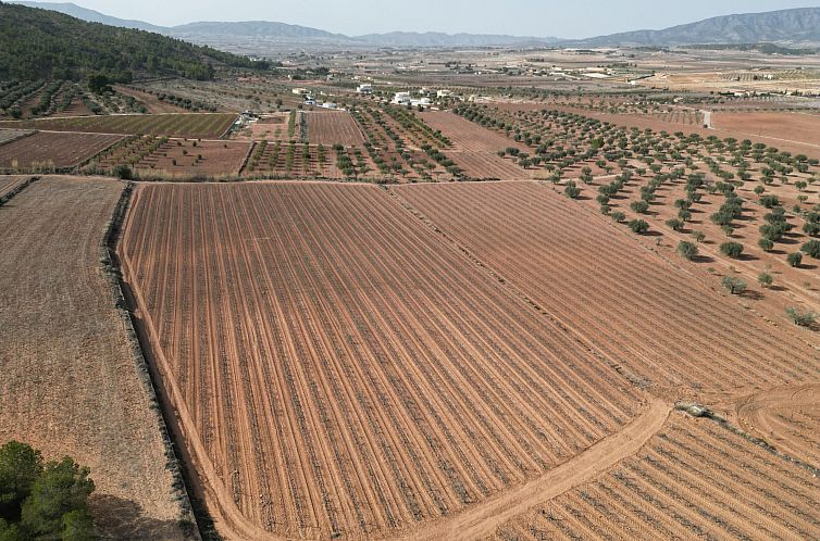 Kavel in Pinoso