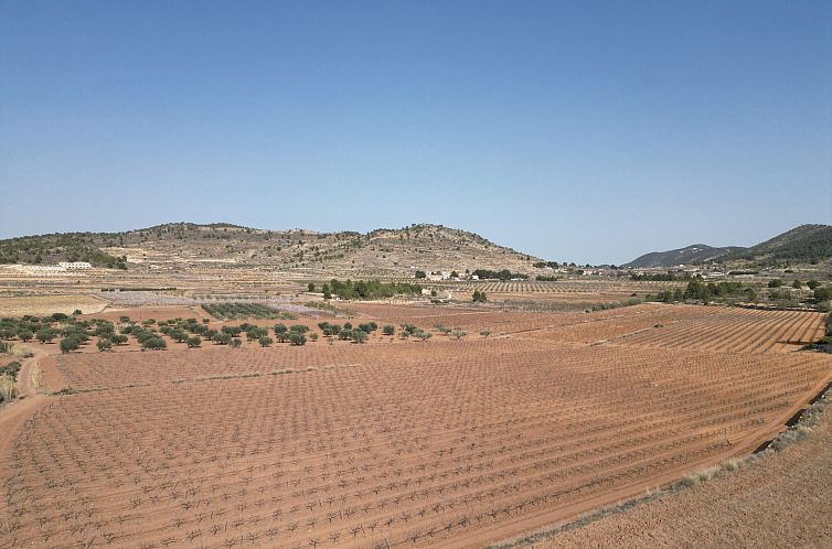 Kavel in Pinoso