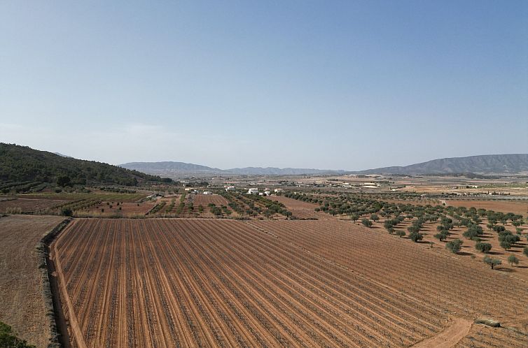 Kavel in Pinoso
