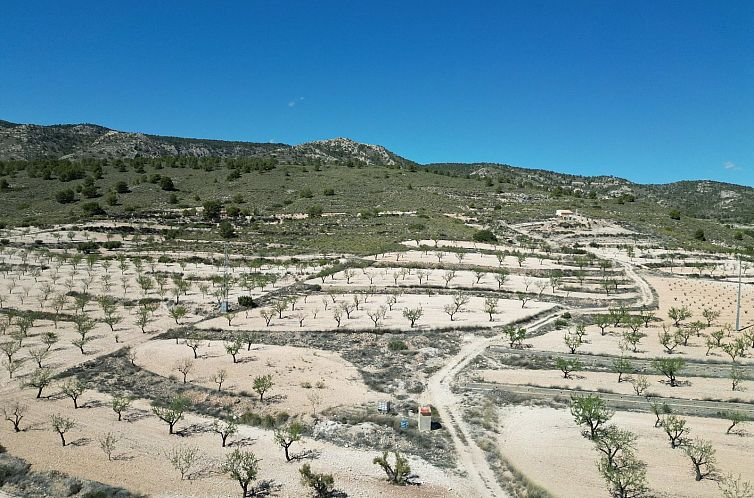 Kavel in Pinoso