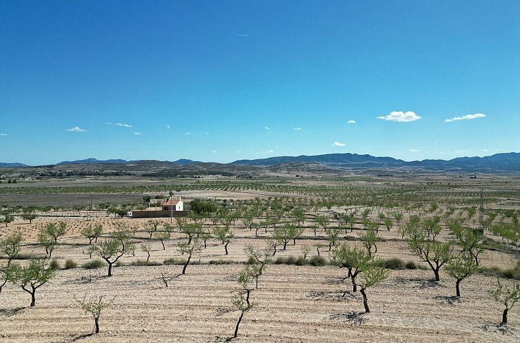 Kavel in Pinoso