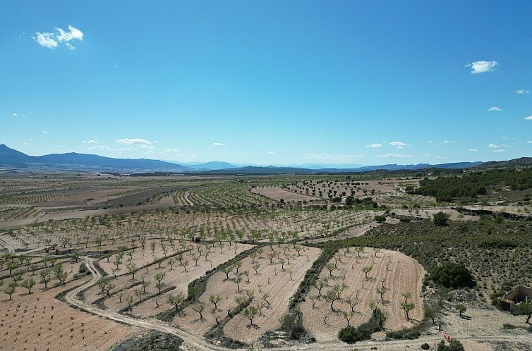 Kavel in Pinoso