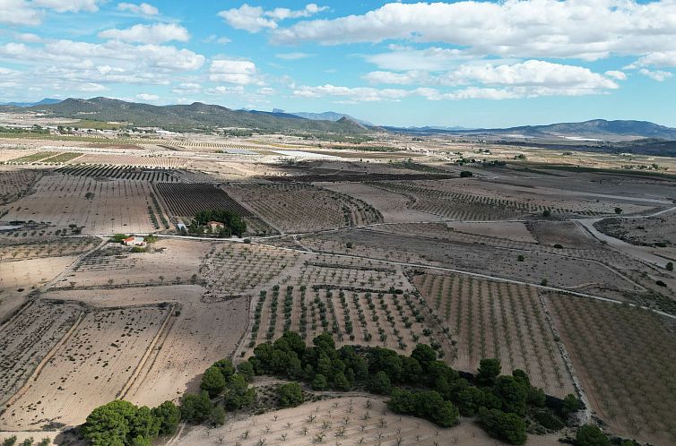 Kavel in Pinoso