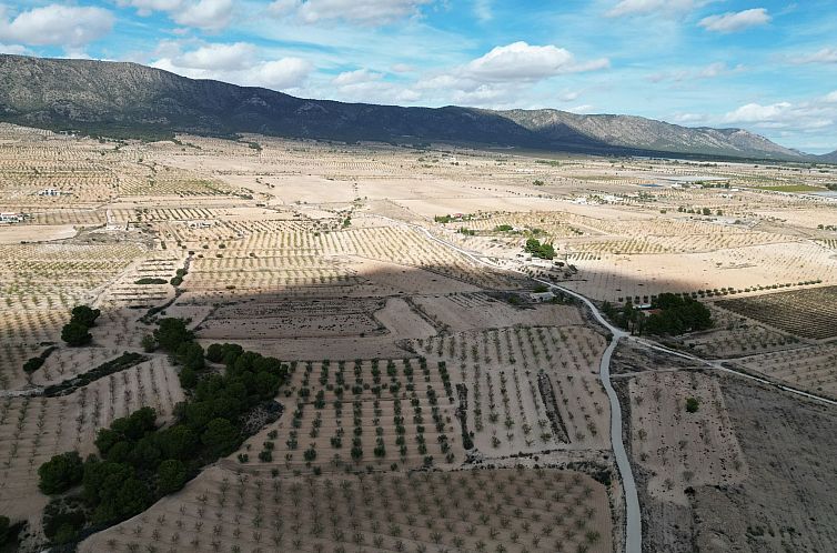 Kavel in Pinoso