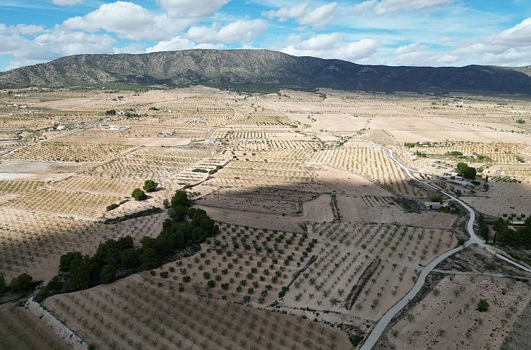 Kavel in Pinoso