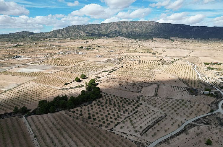 Kavel in Pinoso