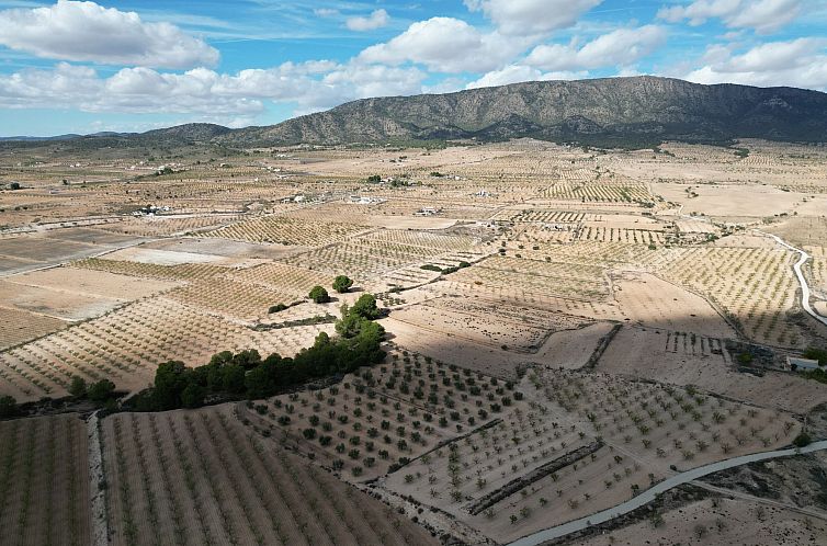 Kavel in Pinoso