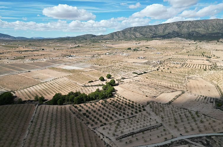 Kavel in Pinoso