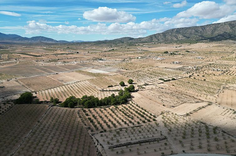 Kavel in Pinoso