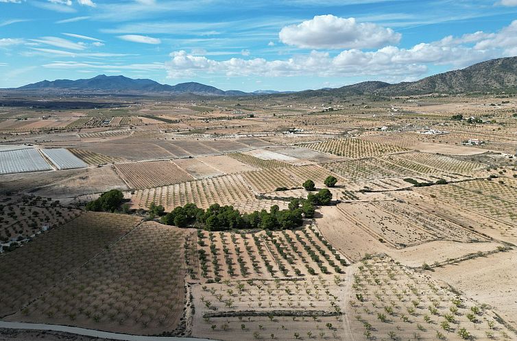 Kavel in Pinoso