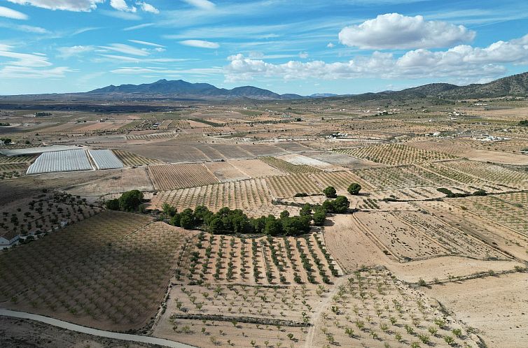 Kavel in Pinoso