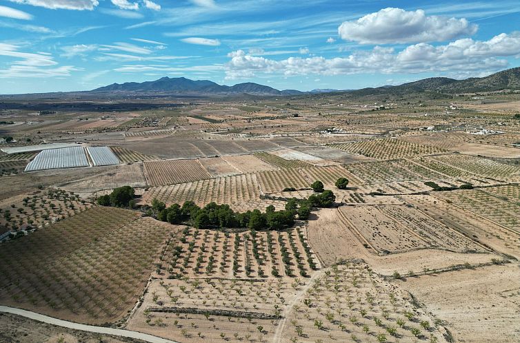 Kavel in Pinoso