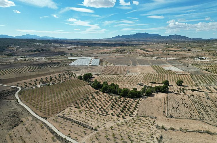 Kavel in Pinoso