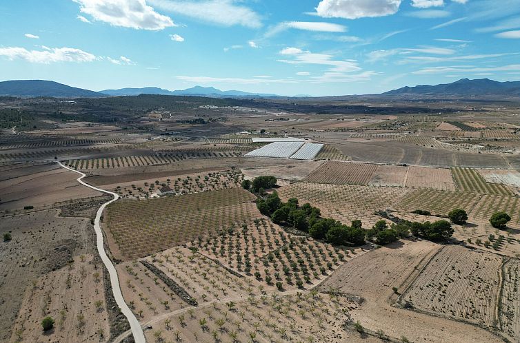 Kavel in Pinoso
