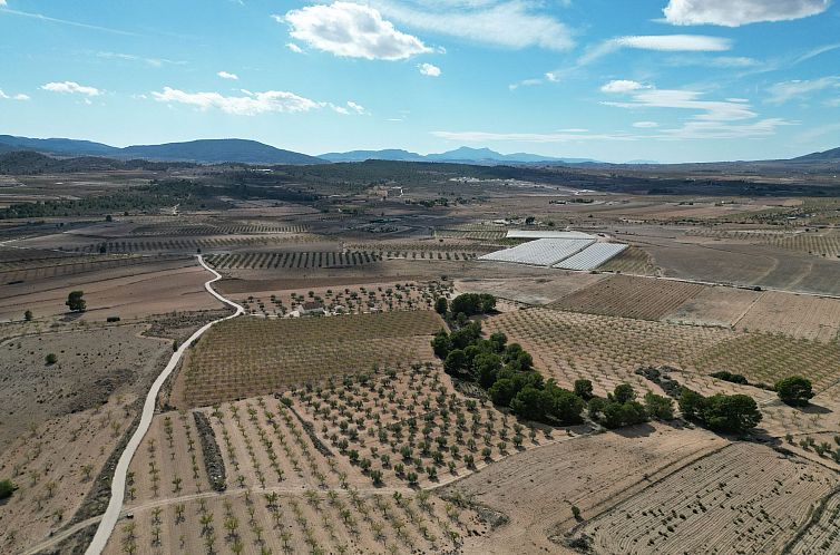 Kavel in Pinoso