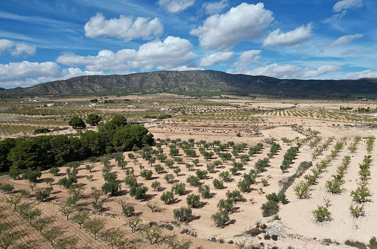 Kavel in Pinoso