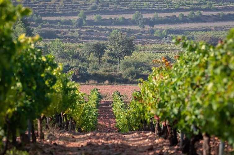 Vrijstaande woning in Pinoso