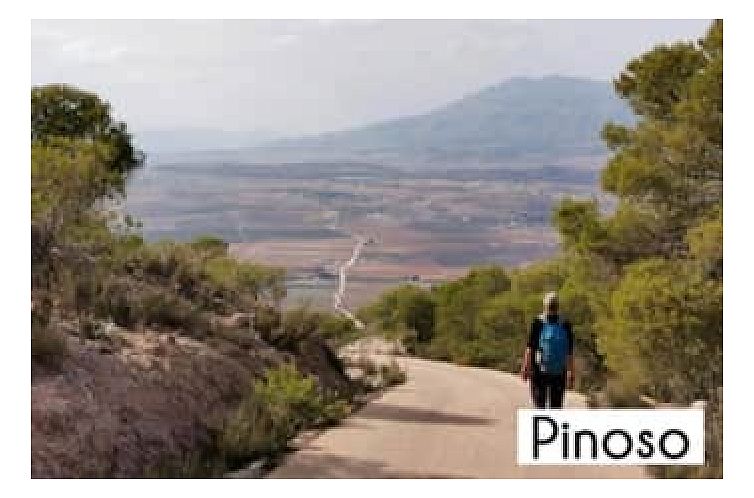 Vrijstaande woning in Pinoso