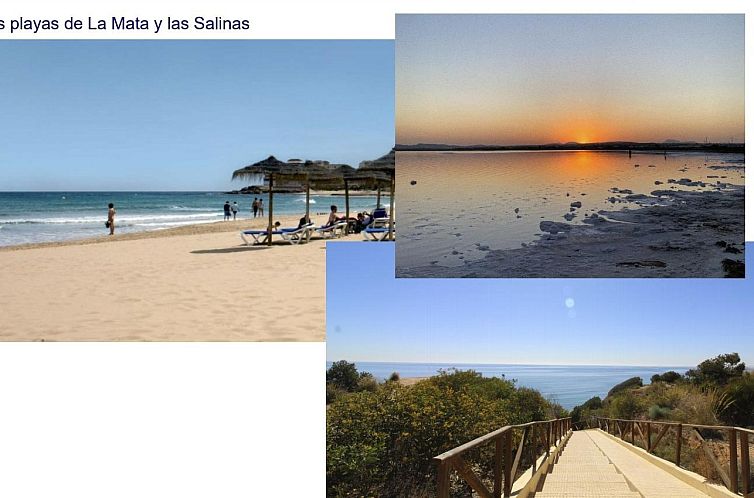 Appartement in La Mata