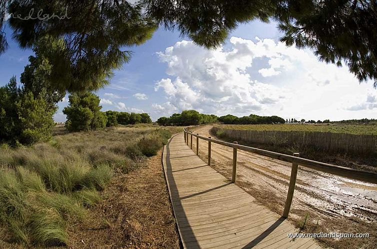 Appartement in La Mata