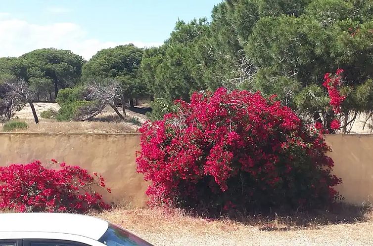 Huis bij duinen en zee in La Mata