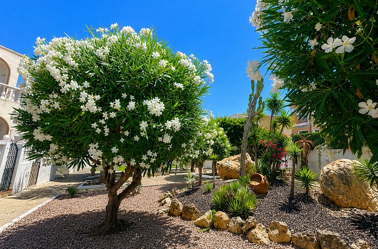 Geschakelde woning in La Mata
