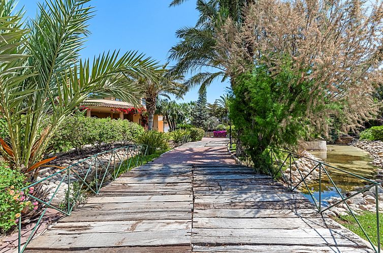 Vrijstaande woning in Elche