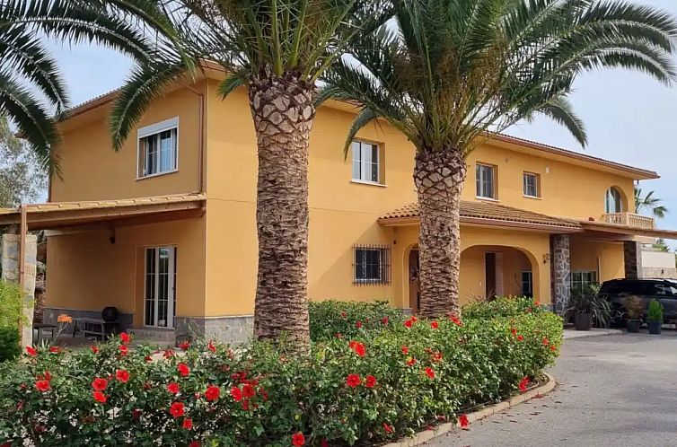 Guest house 14914035 - Apartment Costa Blanca - Een platteland Las Bayas, Elche.