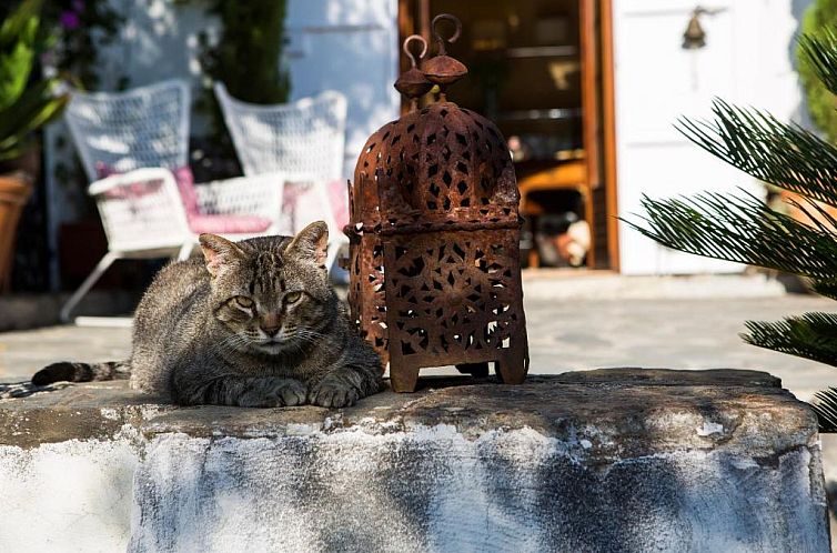 La Almunia del Valle